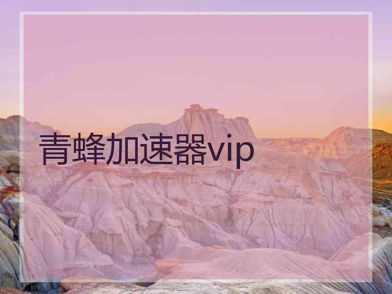 青蜂加速器vip