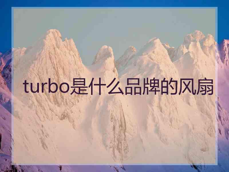 turbo是什么品牌的风扇