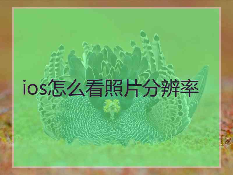 ios怎么看照片分辨率