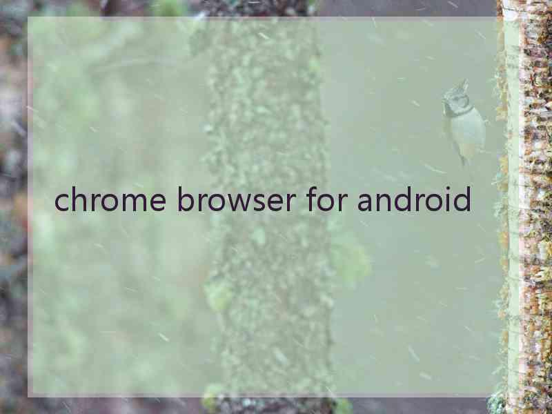 chrome browser for android