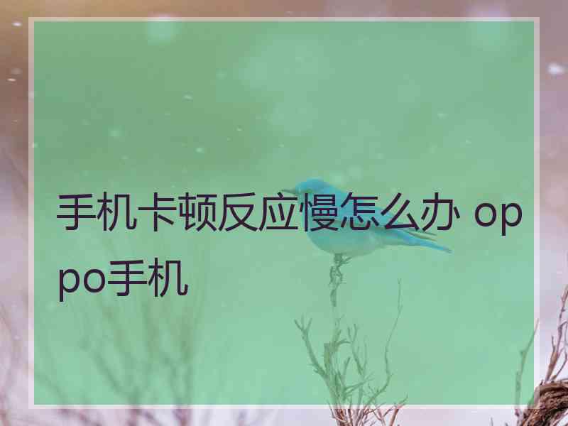 手机卡顿反应慢怎么办 oppo手机