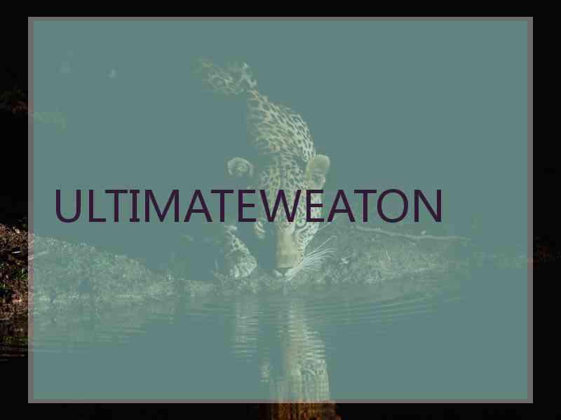 ULTIMATEWEATON