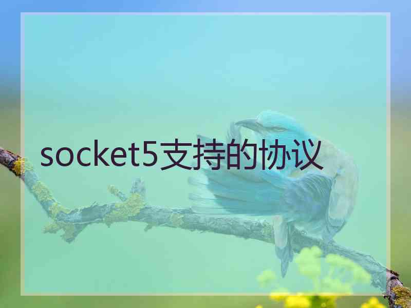 socket5支持的协议