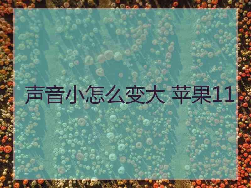 声音小怎么变大 苹果11