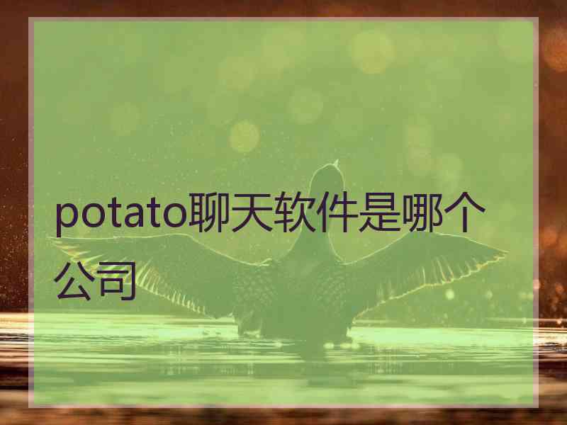 potato聊天软件是哪个公司