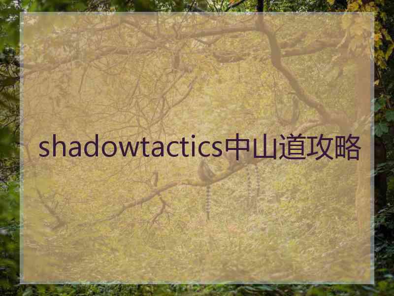 shadowtactics中山道攻略