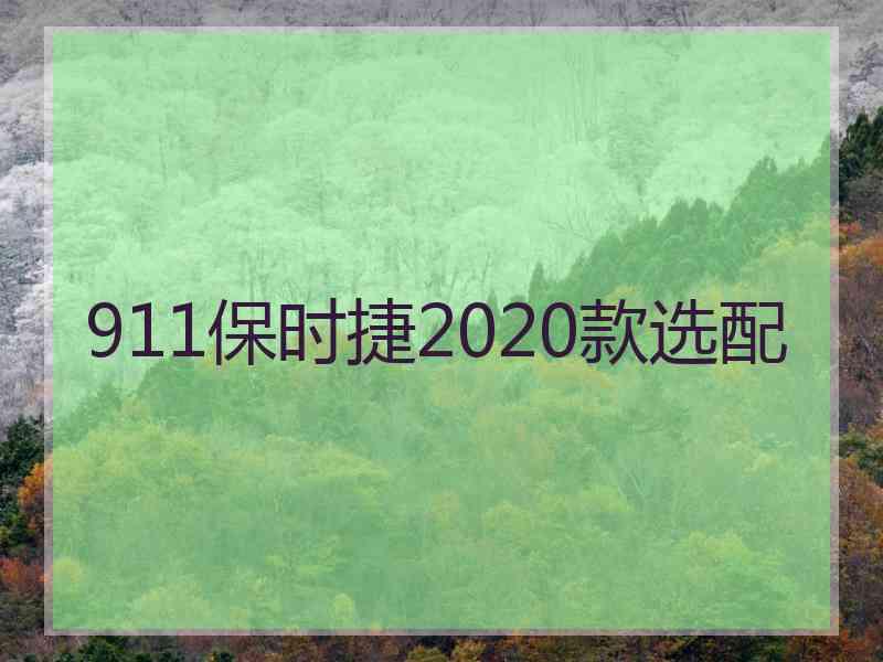 911保时捷2020款选配