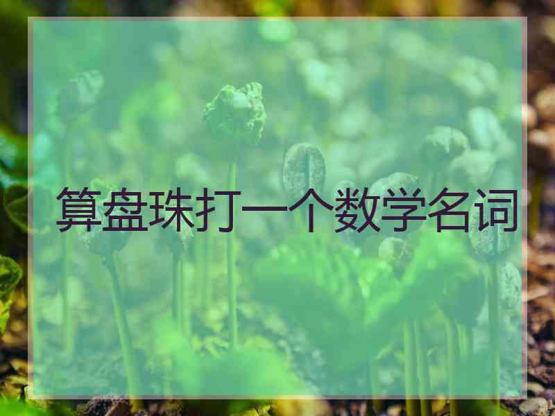 算盘珠打一个数学名词