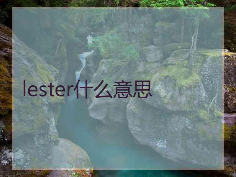 lester什么意思