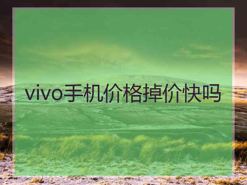 vivo手机价格掉价快吗