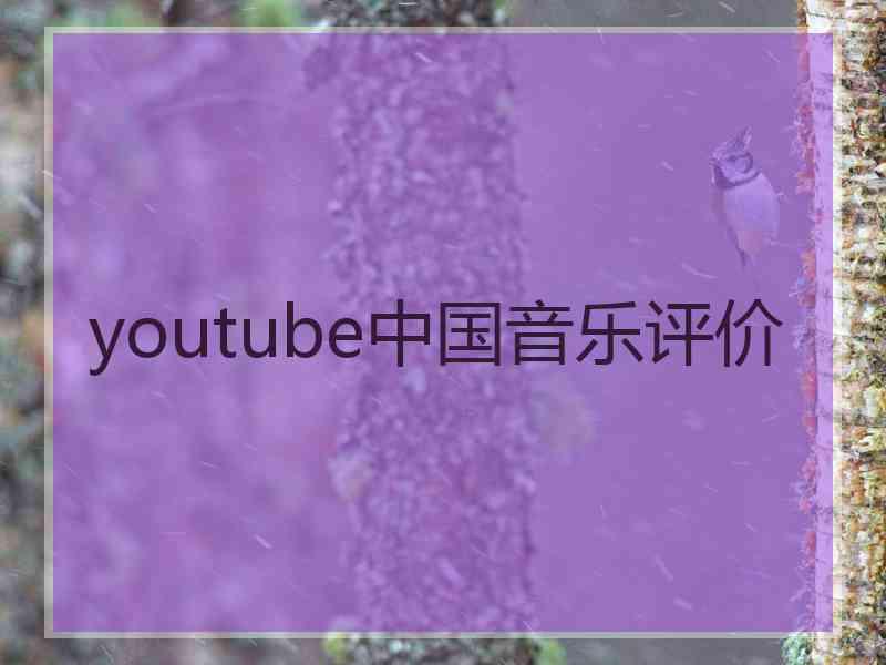 youtube中国音乐评价