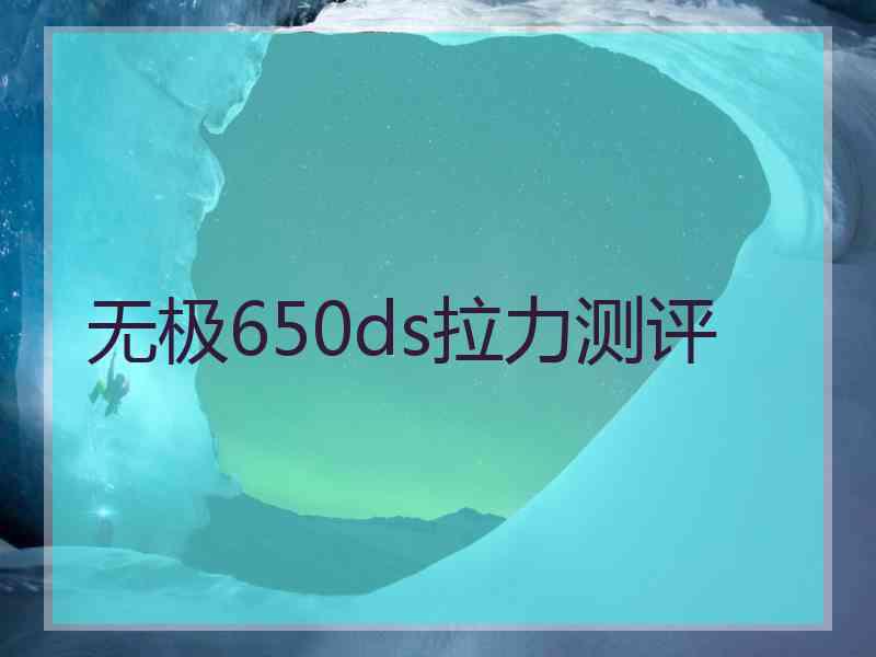 无极650ds拉力测评