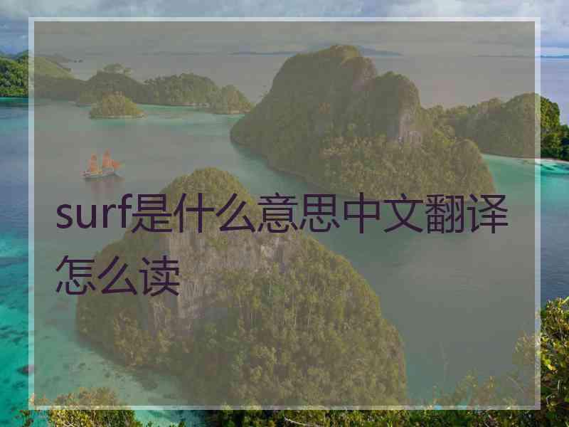 surf是什么意思中文翻译怎么读