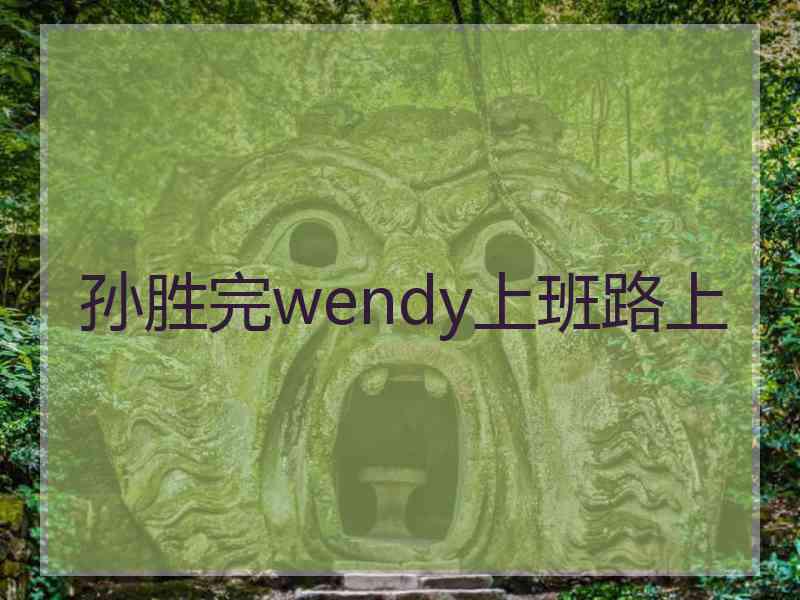 孙胜完wendy上班路上