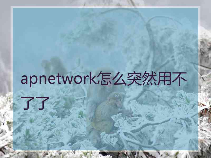 apnetwork怎么突然用不了了