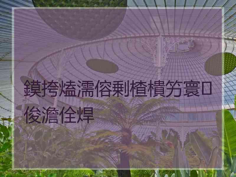 鏌挎熆濡傛剰楂樻竻寰俊澹佺焊