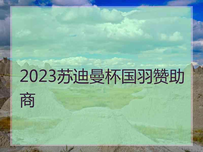 2023苏迪曼杯国羽赞助商