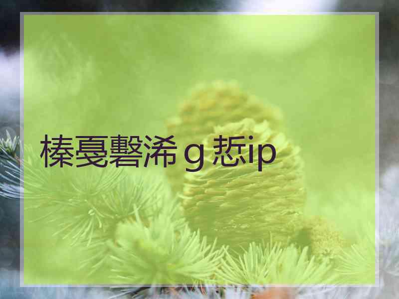 榛戞礊浠ｇ悊ip