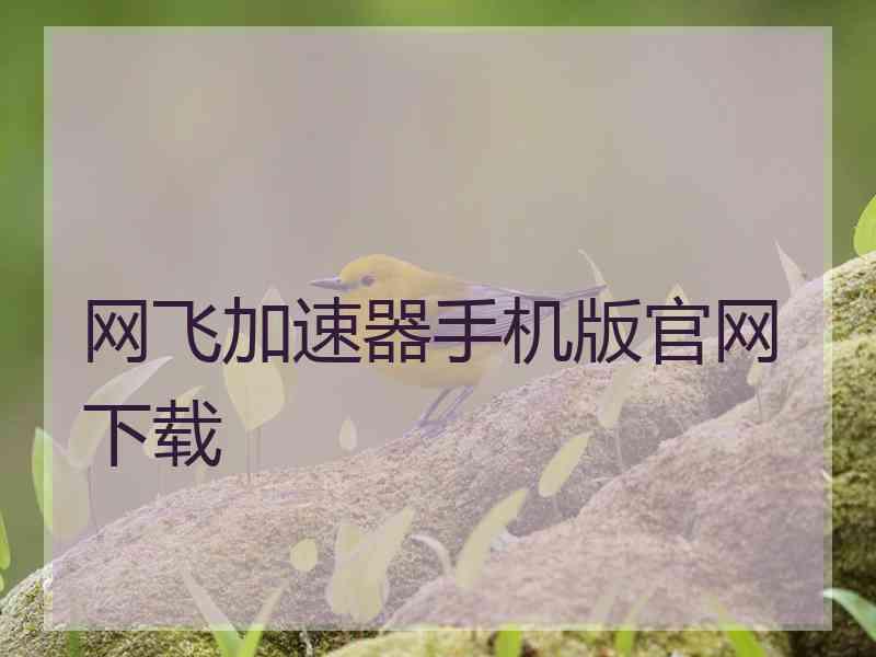 网飞加速器手机版官网下载