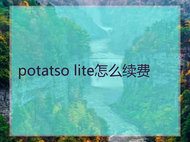 potatso lite怎么续费