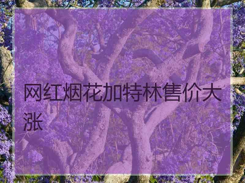 网红烟花加特林售价大涨