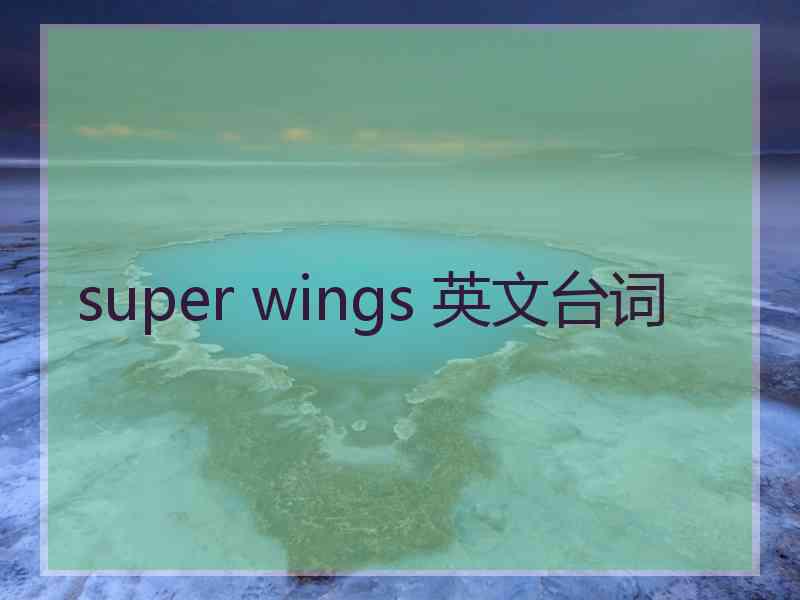 super wings 英文台词