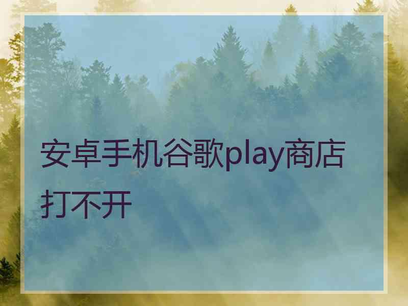 安卓手机谷歌play商店打不开