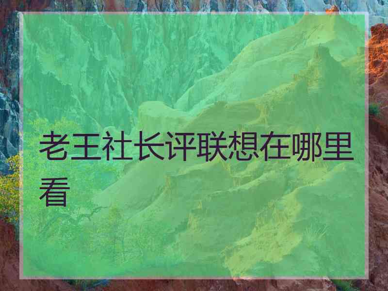 老王社长评联想在哪里看