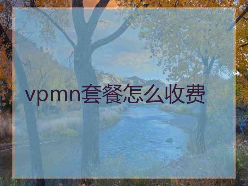 vpmn套餐怎么收费