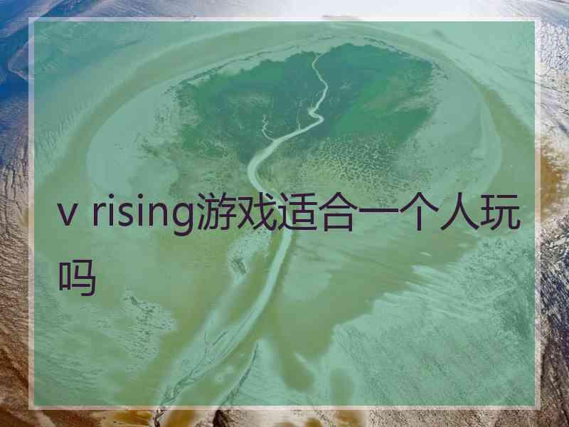 v rising游戏适合一个人玩吗