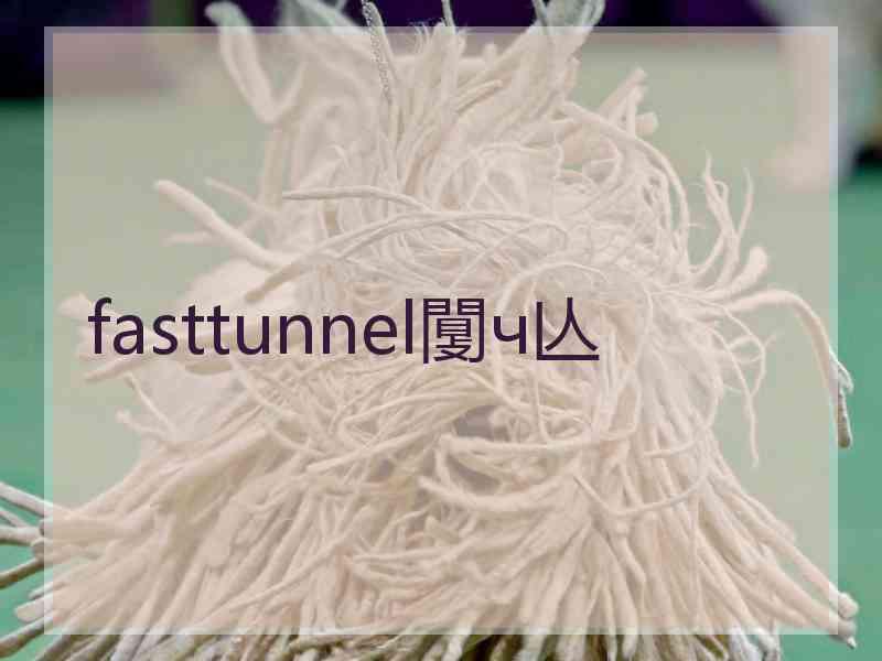 fasttunnel闅ч亾