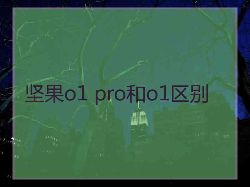 坚果o1 pro和o1区别