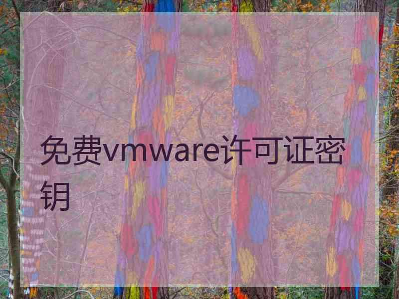 免费vmware许可证密钥