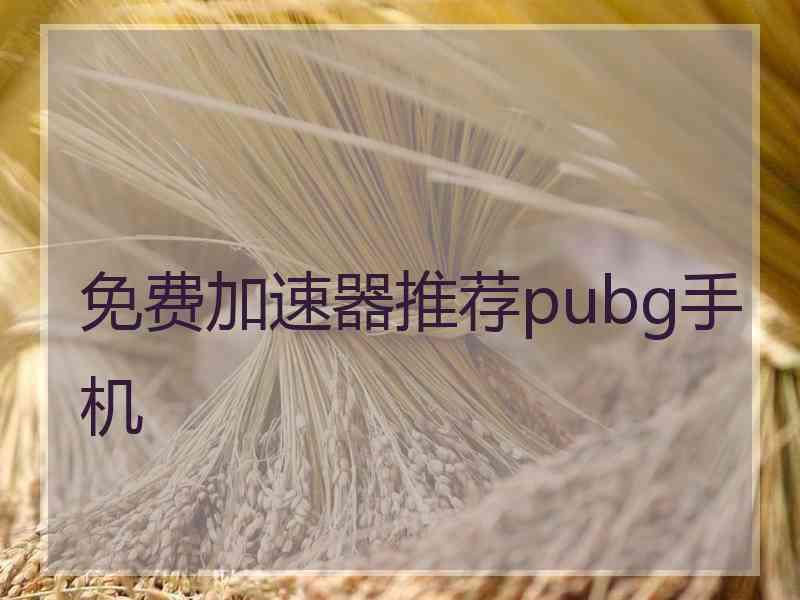 免费加速器推荐pubg手机