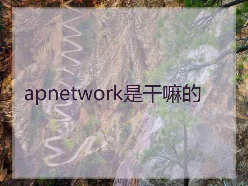 apnetwork是干嘛的