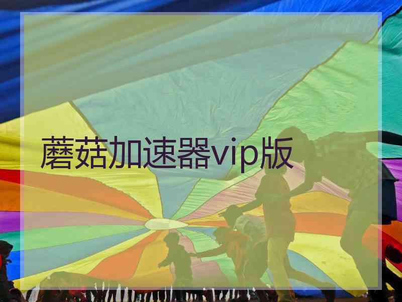 蘑菇加速器vip版