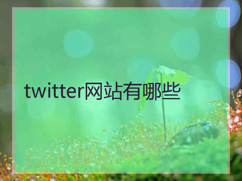 twitter网站有哪些