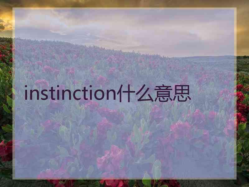 instinction什么意思