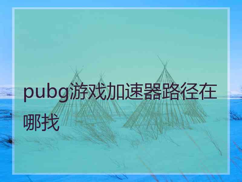 pubg游戏加速器路径在哪找