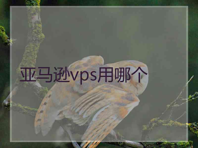 亚马逊vps用哪个