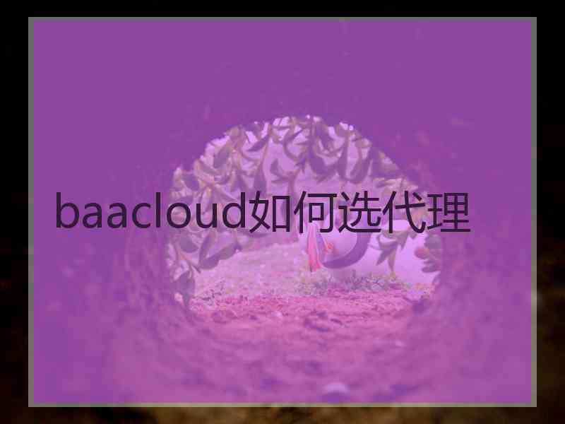 baacloud如何选代理