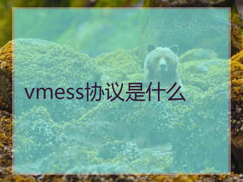 vmess协议是什么