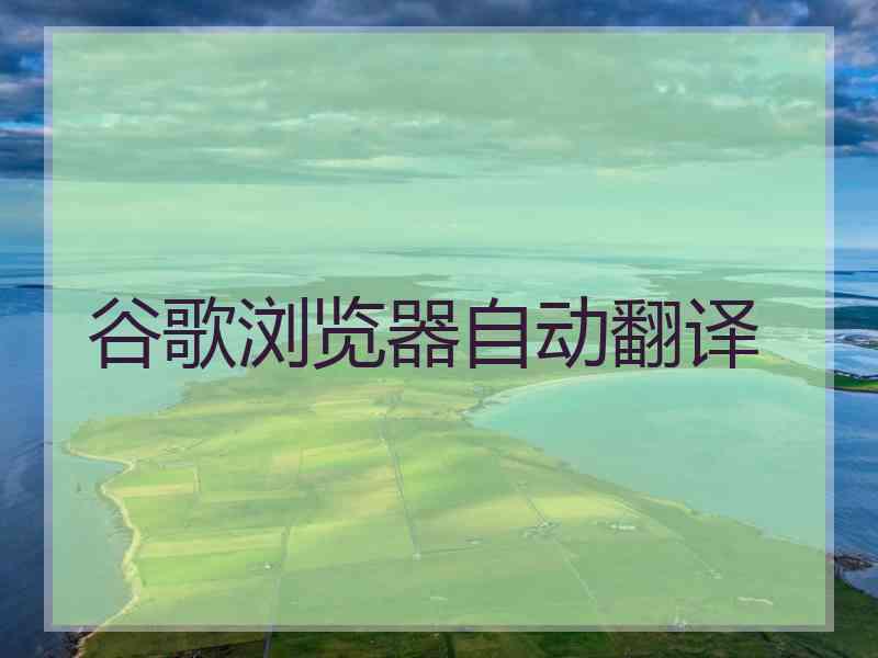 谷歌浏览器自动翻译