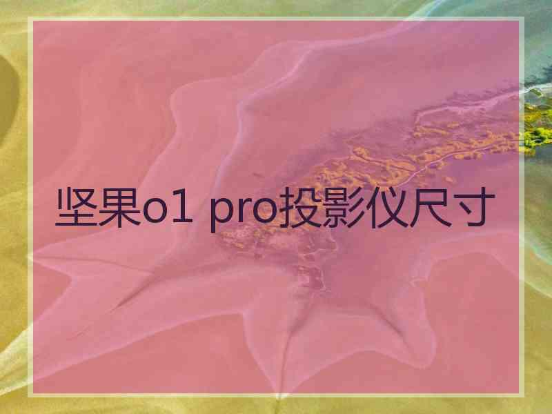 坚果o1 pro投影仪尺寸