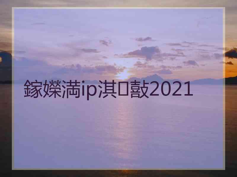 鎵嬫満ip淇敼2021