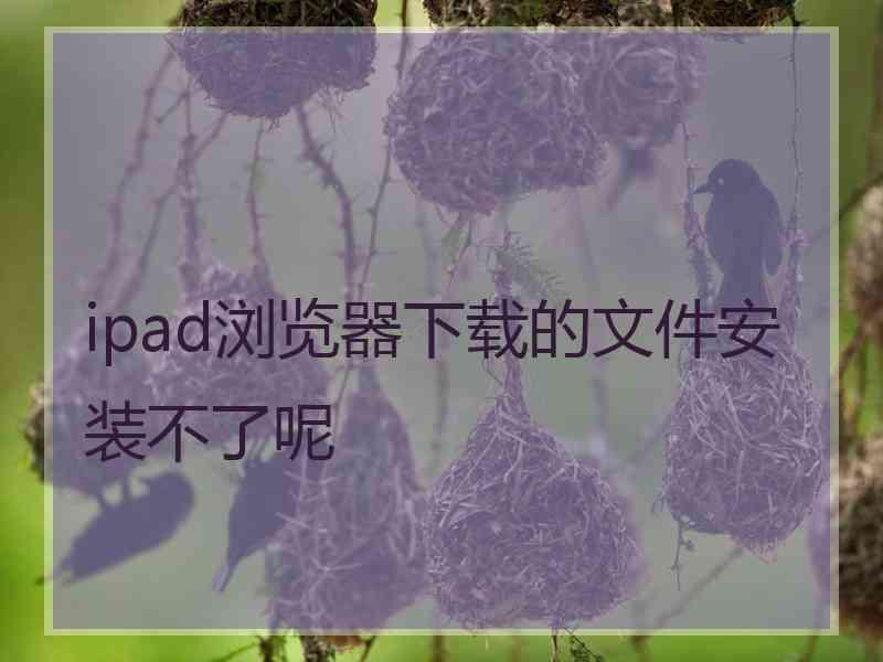 ipad浏览器下载的文件安装不了呢