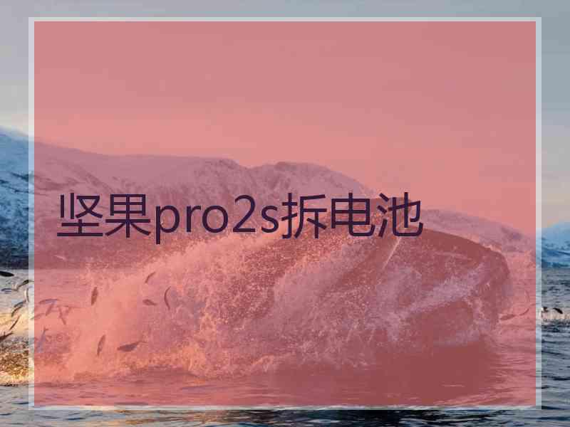 坚果pro2s拆电池