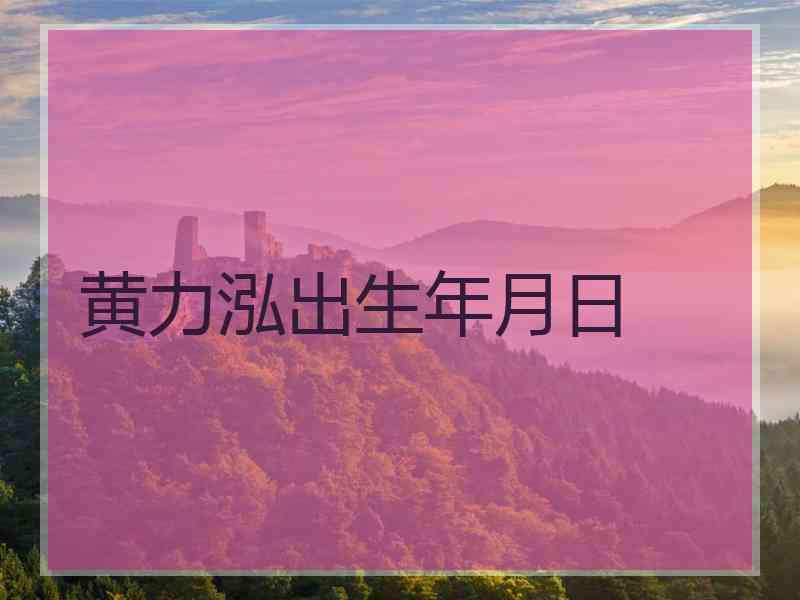 黄力泓出生年月日