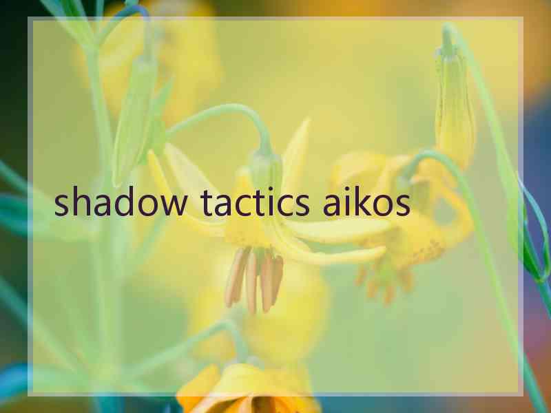 shadow tactics aikos