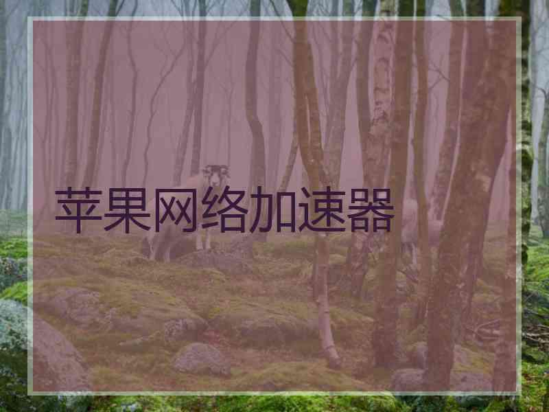 苹果网络加速器